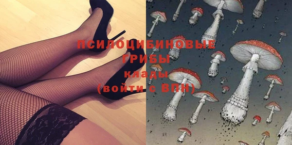 бутират Баксан